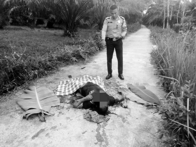 Geger, Diduga Korban Pembunuhan, Petani Sawit di Cerenti Ditemukan Tewas Bersimbah Darah