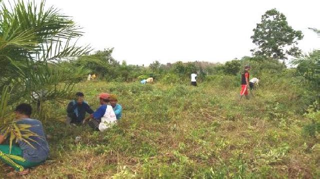 Mantap, Benai Kecil Miliki Kebun Desa Untuk Tingkatkan Pendanaan