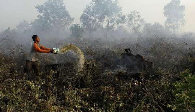 BNPB Minta Kemenhut Bantu Petakan Kebakaran Hutan di Riau