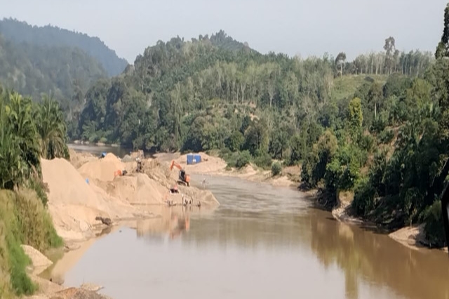 Jelang Pacu Jalur, Sungai Kuantan Tetap Tercemar Berat Akibat Penambangan Emas illegal