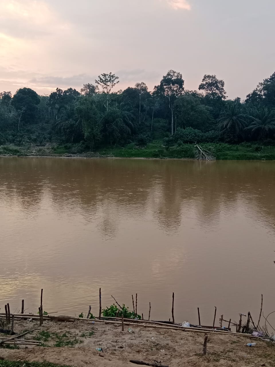 Sungai Kuantan Keruh dan Jorok Akibat Dompeng, Dapat Perburuk Citra Pacu Jalur Dimata Turis