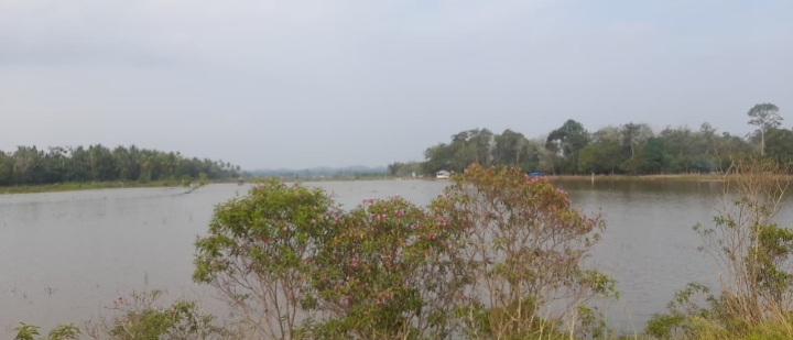 Menyaksikan  Pacu Perahu dan Keindahan Alam Desa Teberau Panjang Guntor