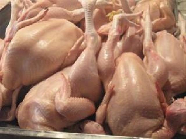 Pasca Lebaran, Harga Daging Ayam Potong Belum Juga Turun