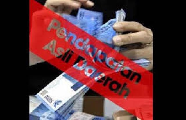 Punya Potensi, Target PAD Kuansing Diharapkan Jadi Rp70 M