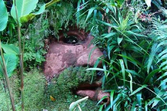 Pohon Berwajah Manusia di Negeri Dongeng, Kolombia