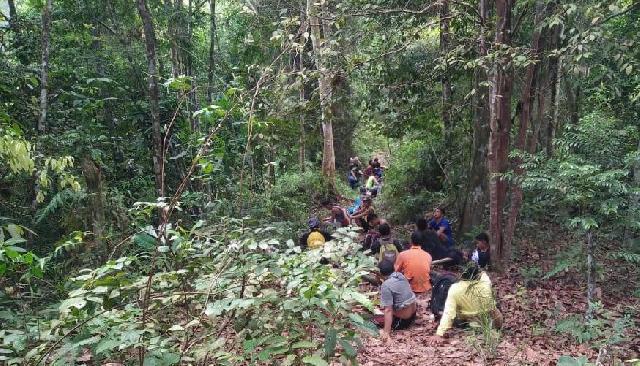Perambahan Hutan Kuansing di Perbatasan Sumbar-Riau Makin Mengganas