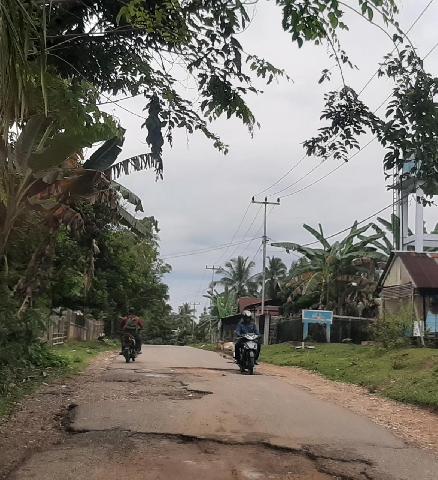 Kerusakan Jalan Simandolak-Pulau Ingu Ganggu Transportasi