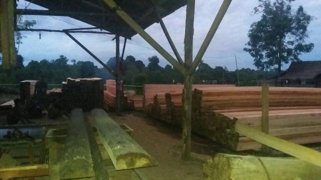 Polres Kuansing Amankan Ribuan Keping Papan Hasil Illegal Logging