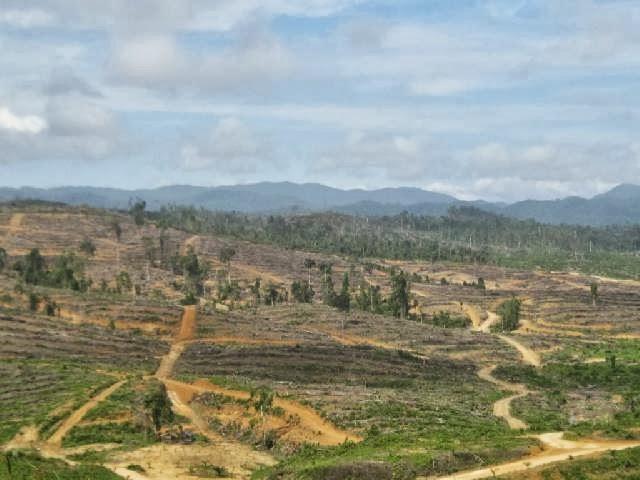 Semakin Banyak Tidak Punya Lahan, Nasib Warga Tempatan Kuansing Semakin Terpinggirkan