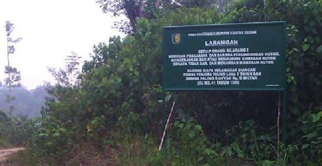 Hutan Lindung Bukit Batabuh Masuk Kawasan Strategis Nasional