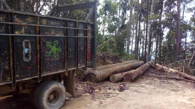 Jika Masih Babat Hutan Lindung, Warga akan Bakar Perlengkapan Pelaku Ilegal Logging 