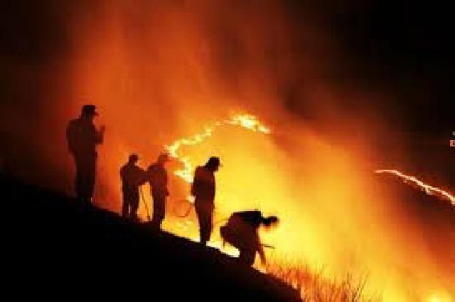 Pilot Kewalahan Atasi Kebakaran Ribuan Hektare Milik Sinar Mas dan RAPP