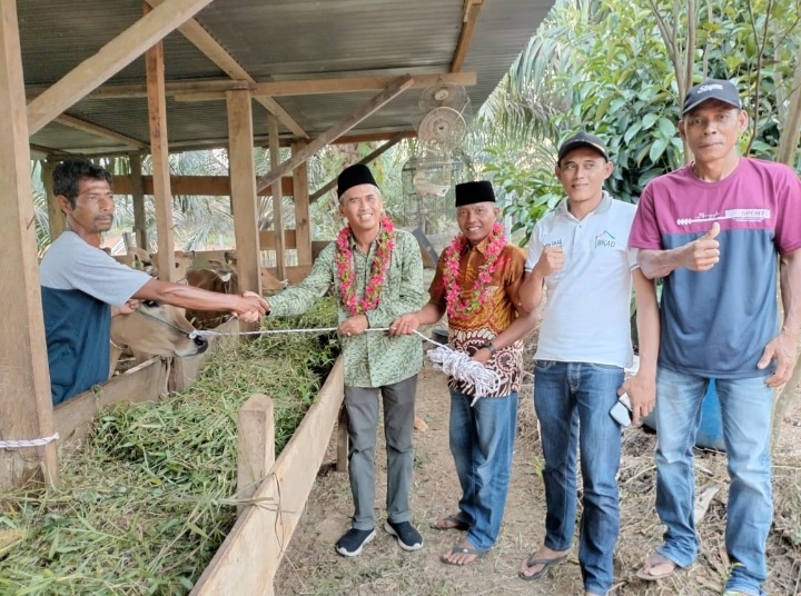 Mardianto Manan Salurkan 7 Ekor Sapi Pada Kelompok Tani Harapan Maju Desa Teratak Rendah LTD