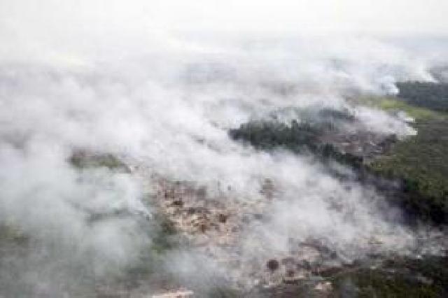 Kebakaran Lahan Sudah di Seluruh Wilayah Riau, tapi yang Ditangkap Baru 10 Pelaku