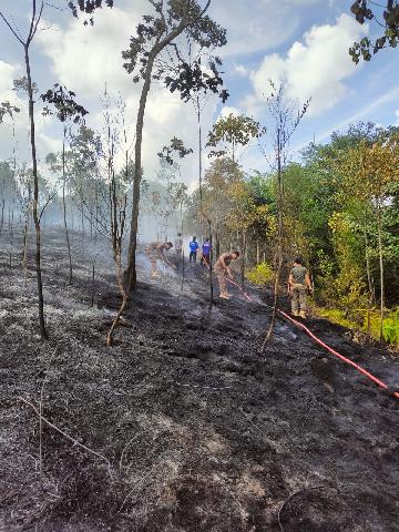 Kebakaran Hutan di Kompleks Pemda Kuansing, Gedung Disdik dan Gudang Obat Nyaris Ludes 