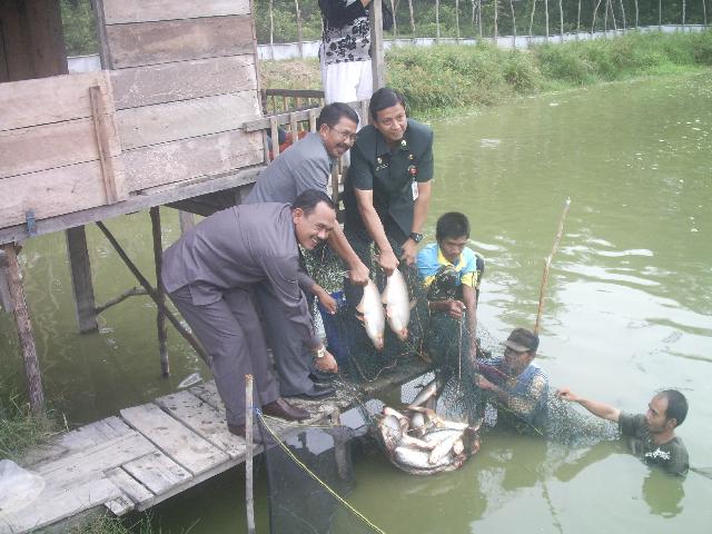 Kuansing Miliki Potensi Menjadi Central Perikanan di Riau