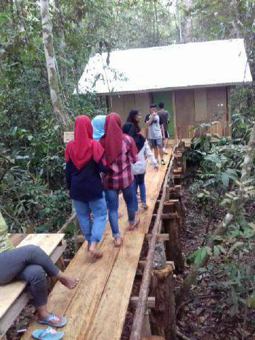 Tunjang Pelancong Nikmati Suasana Hutan, KPHL Bangun Dua Rumah Santai di Hutan Lindung Sentajo