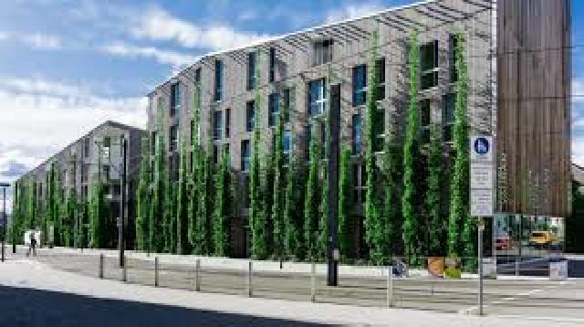 Wujudkan Green City, Pemilik Bangunan Harus Diingatkan Komitmen Tanam Pohon