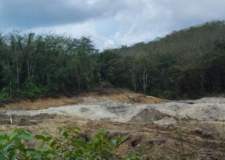 Mardianto Manan Minta Kapolres Usut dan Bekuk Pelaku Peti di Kebun Karet Pemda Kuansing