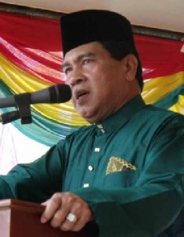 Sutan : Ahmad Sudah Jadi Plt Ketua Demokrat, SK Menyusul