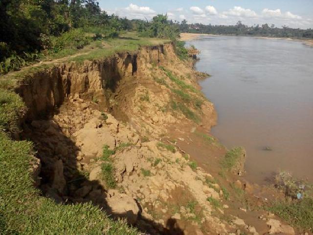 Abrasi Sungai Kuantan di Kuantan Putui Kian Parah, Ancam Pemukiman, Mesjid dan Rumah Adat