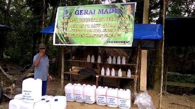 PT RAPP Ingin Gerai Madu Jadi Sentral Madu Sialang di Desa Tanjung Pauh