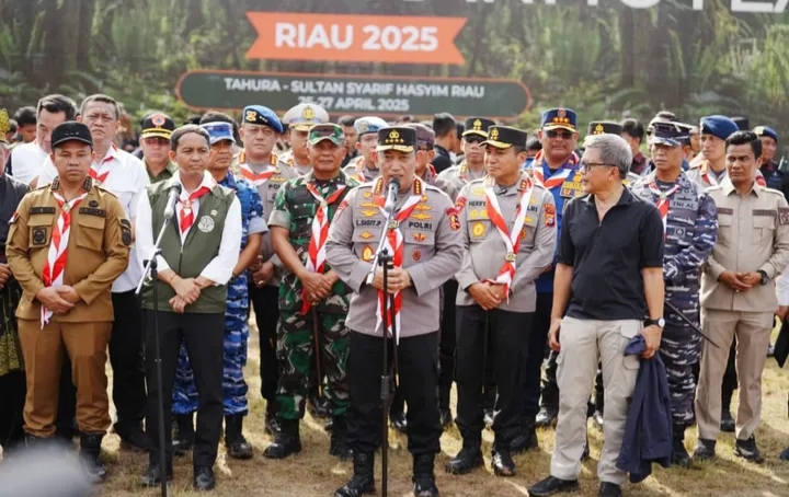 Tahun.2024, 376 Ribu Ha Hutan dan Lahan Terbakar di Indonesia