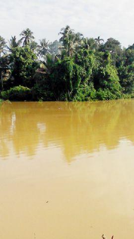Banjir Timbulkan Korban Jiwa, Bocah Empat Tahun Tewas Tenggelam di Sentajo Raya