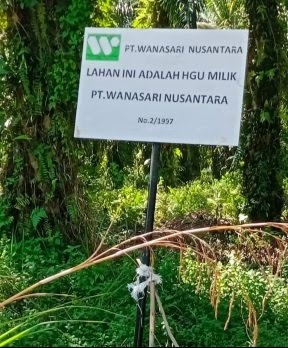Asal Sesuai Mekanisme, Gubri dan LAN Kuansing Dukung Pencabutan IUP PT WSN