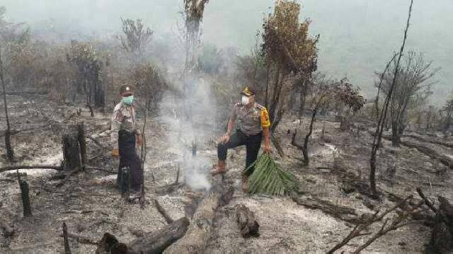 Kapolres Turun Kelapangan Padamkan Kebakaran Lahan di Kuantan Mudik dan Pucuk Rantau
