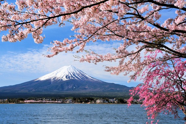 Program Magang di Jepang Kurang Diminati  Pencari Kerja dari Kuansing