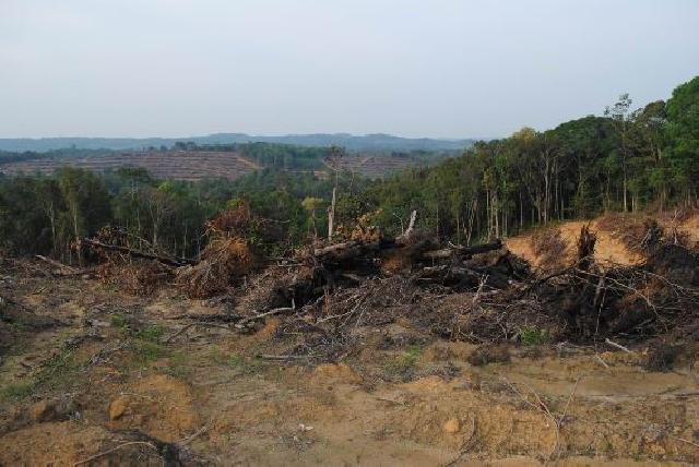 Tak Mampu Atasi Penyerobotan Lahan Ulayat, Warga Sumpu Minta Bantuan PWI Riau
