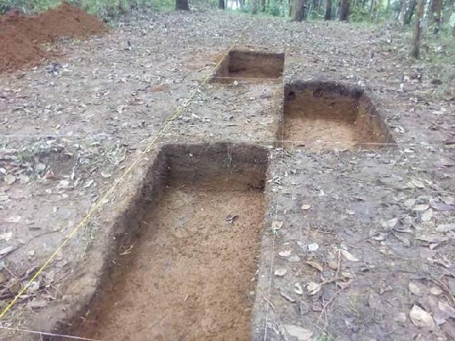 Untuk Mengungkap Situs Purbakala, Tim Arkeolog  Mulai Lakukan Penggalian di Bukit Candi Cerenti