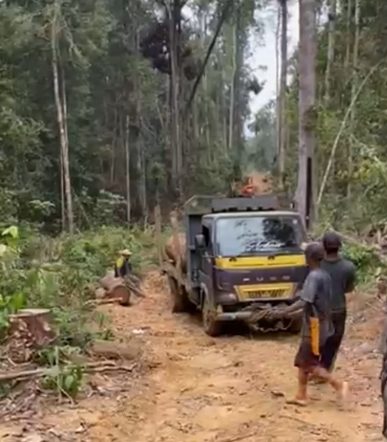 Hutan Bukit Tabandang Makin Hancur Akibat Illog, Lingkungan Pariwisata dan Tradisi Terancam