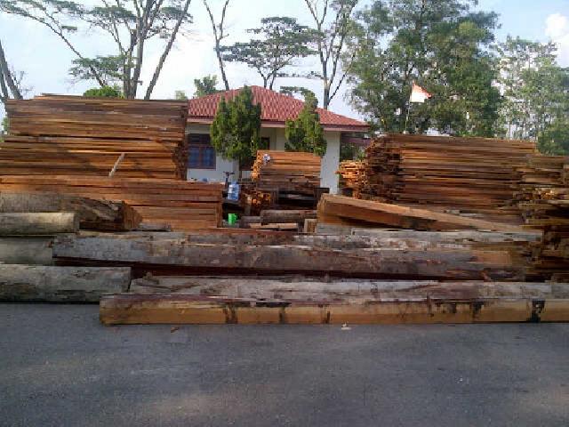 Polisi Amankan Ribuan Kayu Olahan di Rokan Hulu Riau 