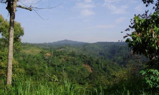 DESDM Belum Terima Laporan Aktifitas PETI di  Hutan Lindung Bukit Betabuh